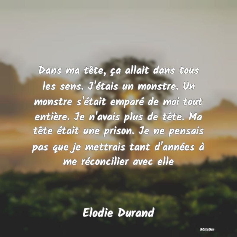 image de citation: Dans ma tête, ça allait dans tous les sens. J'étais un monstre. Un monstre s'était emparé de moi tout entière. Je n'avais plus de tête. Ma tête était une prison. Je ne pensais pas que je mettrais tant d'années à me réconcilier avec elle