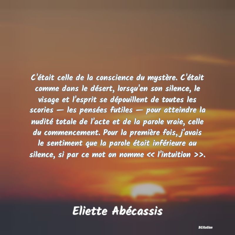 image de citation: C'était celle de la conscience du mystère. C'était comme dans le désert, lorsqu'en son silence, le visage et l'esprit se dépouillent de toutes les scories — les pensées futiles — pour atteindre la nudité totale de l'acte et de la parole vraie, celle du commencement. Pour la première fois, j'avais le sentiment que la parole était inférieure au silence, si par ce mot on nomme << l'intuition >>.