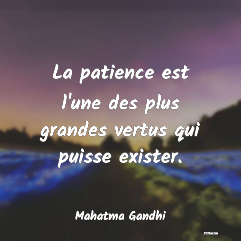 image de citation: La patience est l'une des plus grandes vertus qui puisse exister.