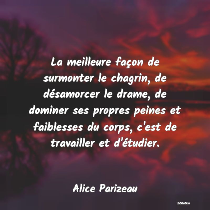 image de citation: La meilleure façon de surmonter le chagrin, de désamorcer le drame, de dominer ses propres peines et faiblesses du corps, c'est de travailler et d'étudier.