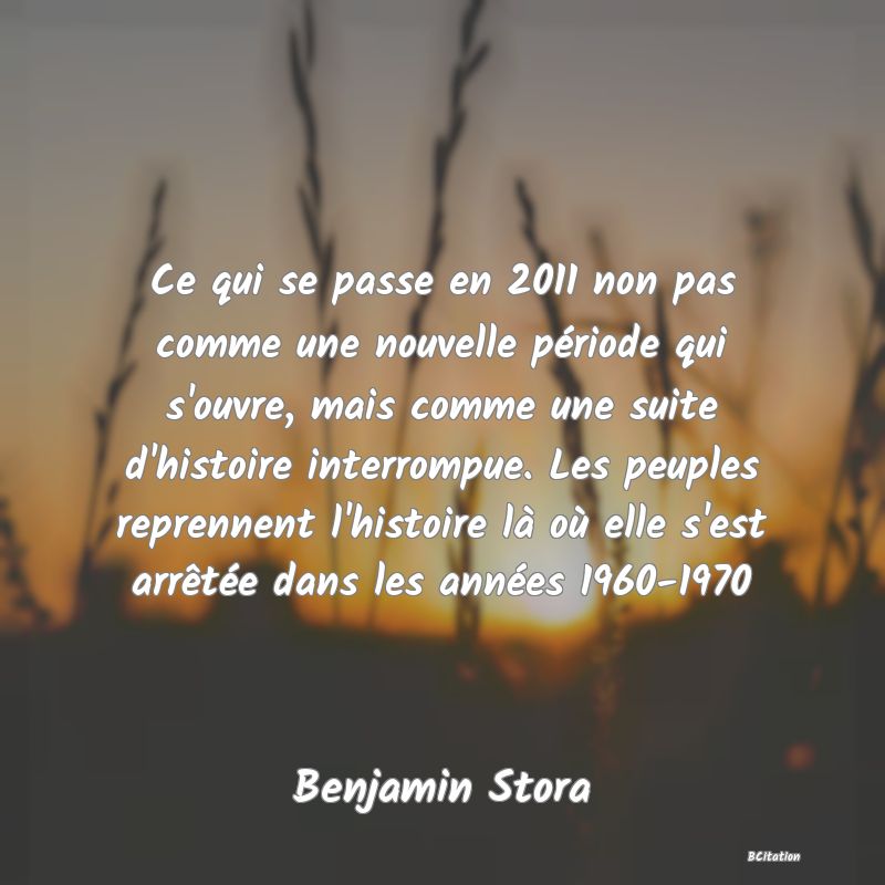 image de citation: Ce qui se passe en 2011 non pas comme une nouvelle période qui s'ouvre, mais comme une suite d'histoire interrompue. Les peuples reprennent l'histoire là où elle s'est arrêtée dans les années 1960-1970