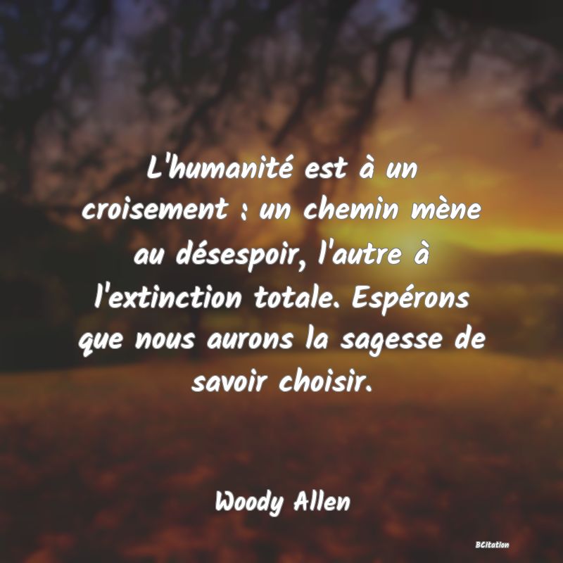 image de citation: L'humanité est à un croisement : un chemin mène au désespoir, l'autre à l'extinction totale. Espérons que nous aurons la sagesse de savoir choisir.