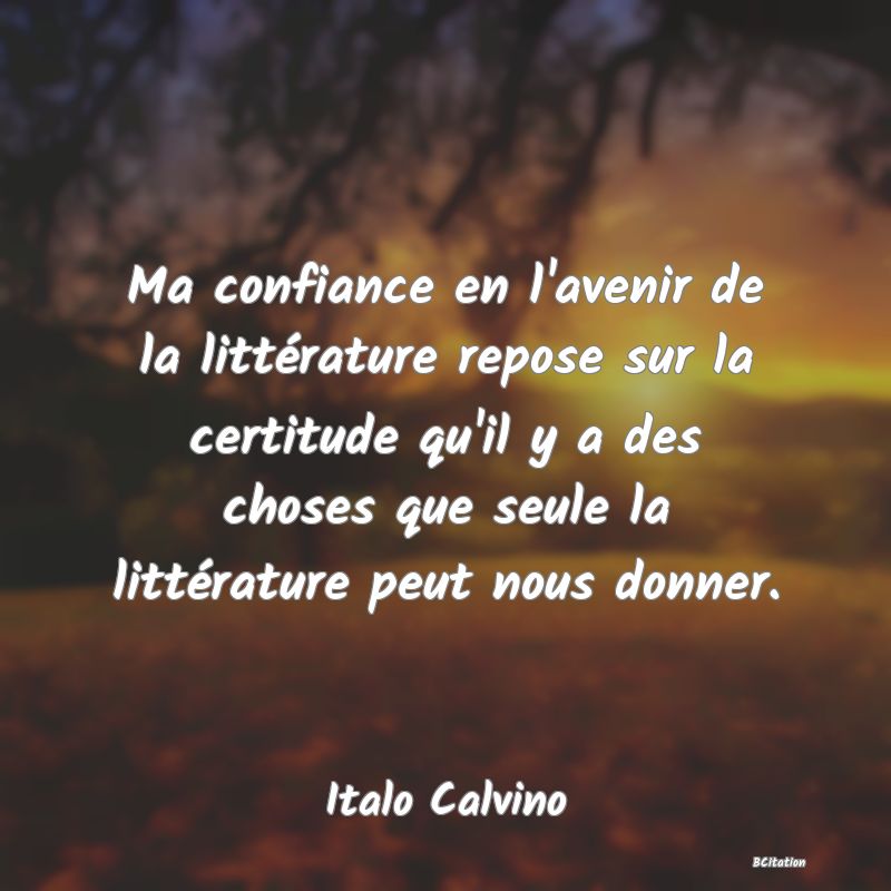 image de citation: Ma confiance en l'avenir de la littérature repose sur la certitude qu'il y a des choses que seule la littérature peut nous donner.