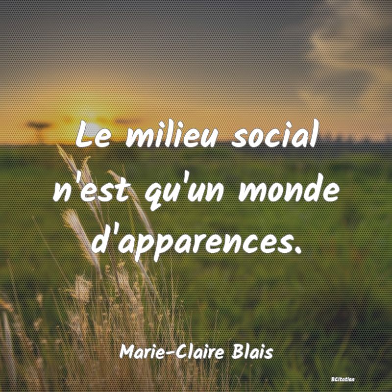 image de citation: Le milieu social n'est qu'un monde d'apparences.