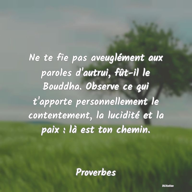 image de citation: Ne te fie pas aveuglément aux paroles d'autrui, fût-il le Bouddha. Observe ce qui t'apporte personnellement le contentement, la lucidité et la paix : là est ton chemin.