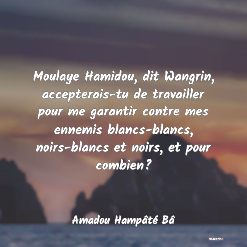 image de citation: Moulaye Hamidou, dit Wangrin, accepterais-tu de travailler pour me garantir contre mes ennemis blancs-blancs, noirs-blancs et noirs, et pour combien?