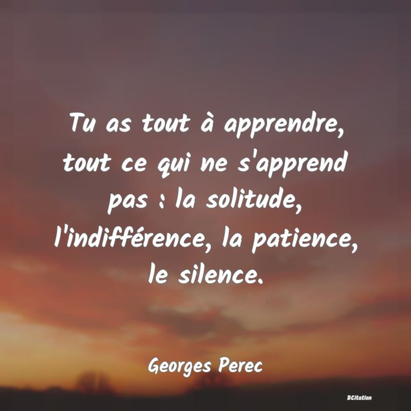 image de citation: Tu as tout à apprendre, tout ce qui ne s'apprend pas : la solitude, l'indifférence, la patience, le silence.