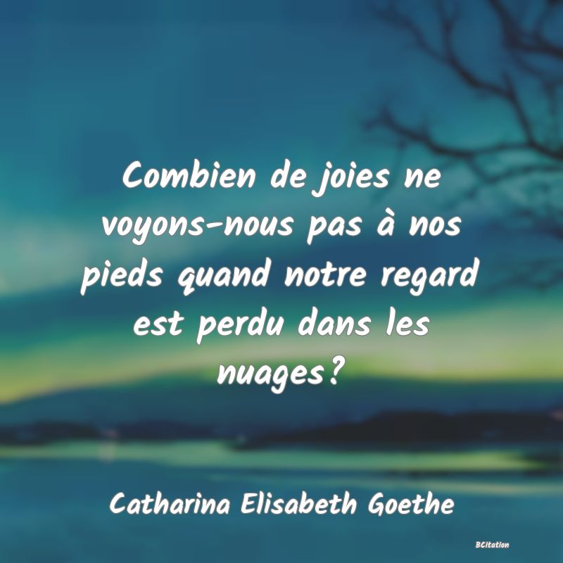 image de citation: Combien de joies ne voyons-nous pas à nos pieds quand notre regard est perdu dans les nuages?