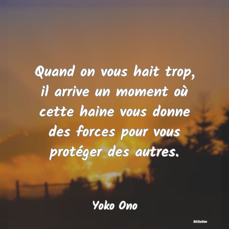 image de citation: Quand on vous hait trop, il arrive un moment où cette haine vous donne des forces pour vous protéger des autres.