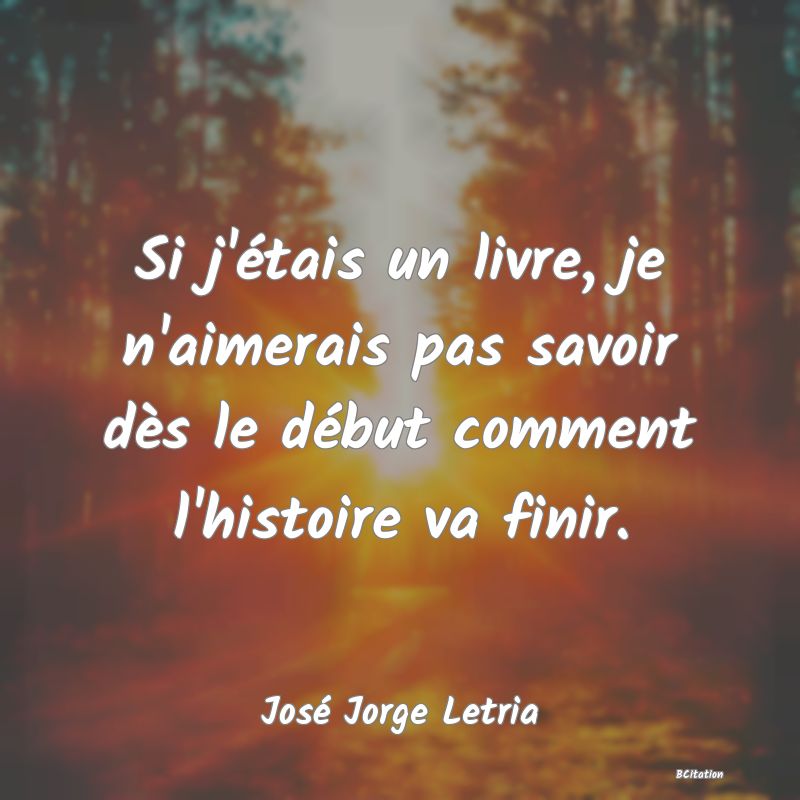 image de citation: Si j'étais un livre, je n'aimerais pas savoir dès le début comment l'histoire va finir.