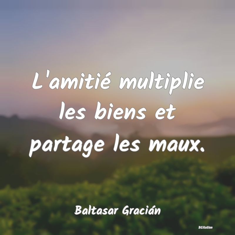 Belle Citation - L'amitié multiplie les biens et partage les maux. - Baltasar Gracián