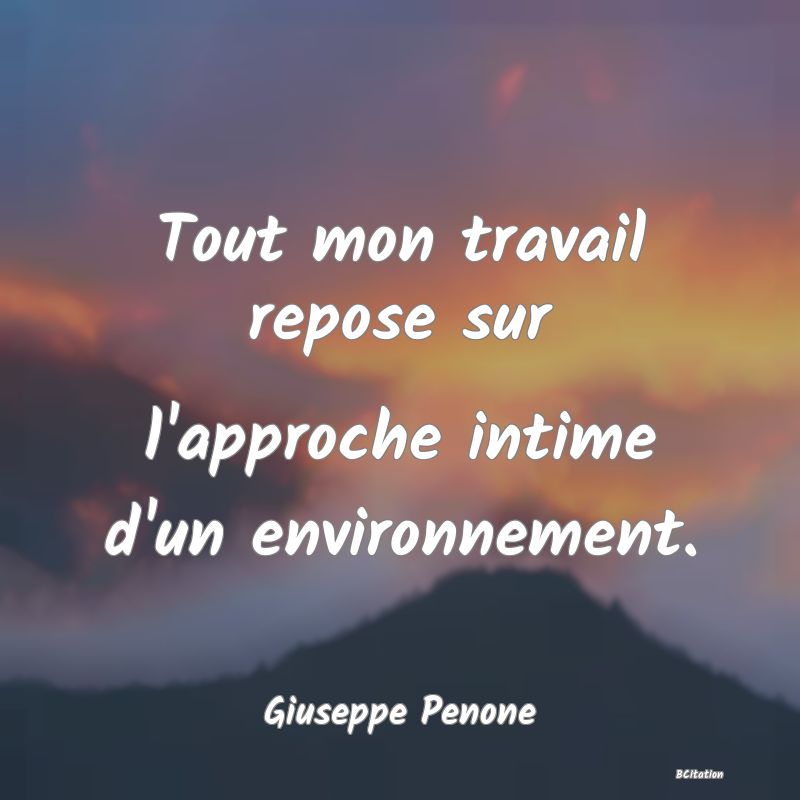 image de citation: Tout mon travail repose sur l'approche intime d'un environnement.