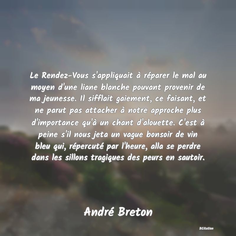 image de citation: Le Rendez-Vous s'appliquait à réparer le mal au moyen d'une liane blanche pouvant provenir de ma jeunesse. Il sifflait gaiement, ce faisant, et ne parut pas attacher à notre approche plus d'importance qu'à un chant d'alouette. C'est à peine s'il nous jeta un vague bonsoir de vin bleu qui, répercuté par l'heure, alla se perdre dans les sillons tragiques des peurs en sautoir.