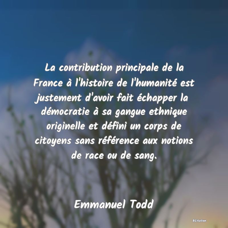 image de citation: La contribution principale de la France à l'histoire de l'humanité est justement d'avoir fait échapper la démocratie à sa gangue ethnique originelle et défini un corps de citoyens sans référence aux notions de race ou de sang.