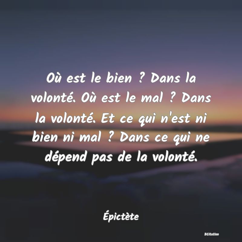 image de citation: Où est le bien ? Dans la volonté. Où est le mal ? Dans la volonté. Et ce qui n'est ni bien ni mal ? Dans ce qui ne dépend pas de la volonté.