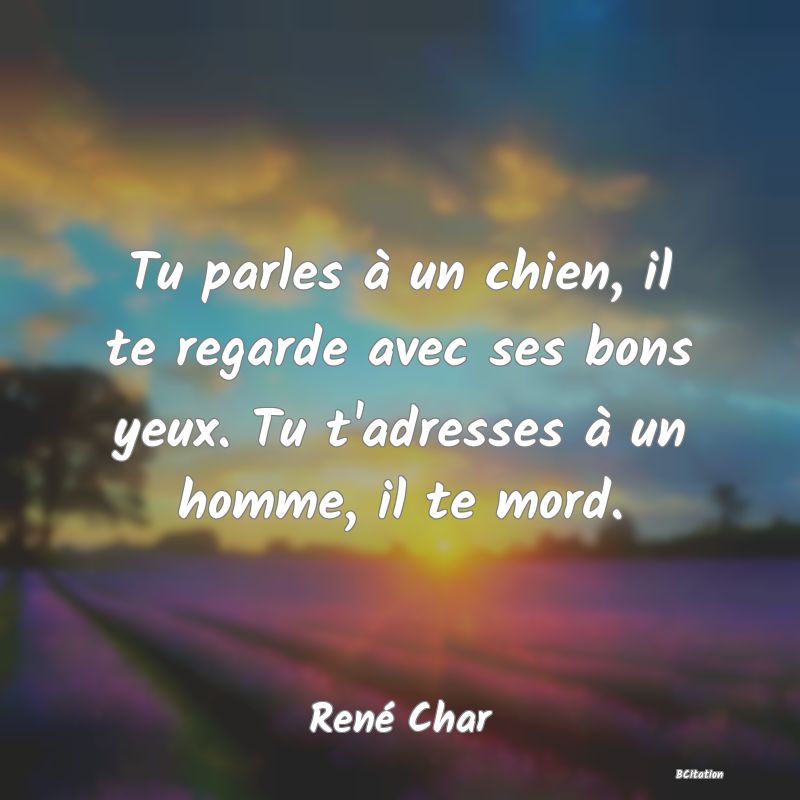 image de citation: Tu parles à un chien, il te regarde avec ses bons yeux. Tu t'adresses à un homme, il te mord.