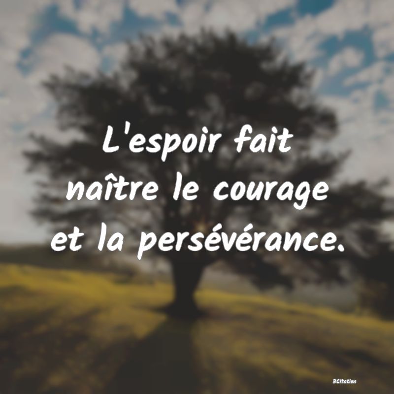 image de citation: L'espoir fait naître le courage et la persévérance.