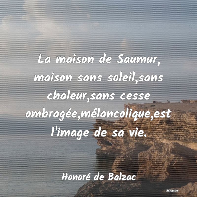 image de citation: La maison de Saumur, maison sans soleil,sans chaleur,sans cesse ombragée,mélancolique,est l'image de sa vie.