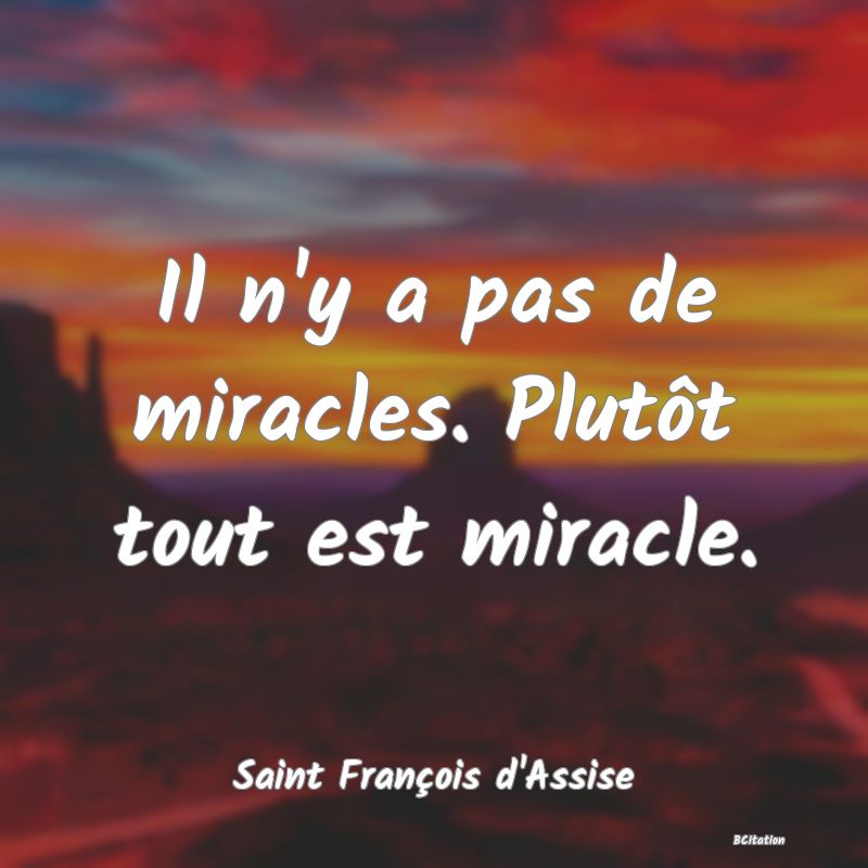 Belle Citation - Il n'y a pas de miracles. Plutôt tout est miracle. - Saint François d'Assise