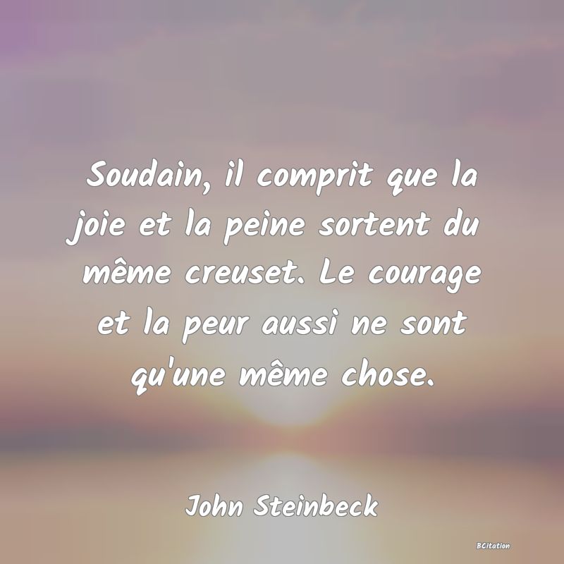 image de citation: Soudain, il comprit que la joie et la peine sortent du même creuset. Le courage et la peur aussi ne sont qu'une même chose.