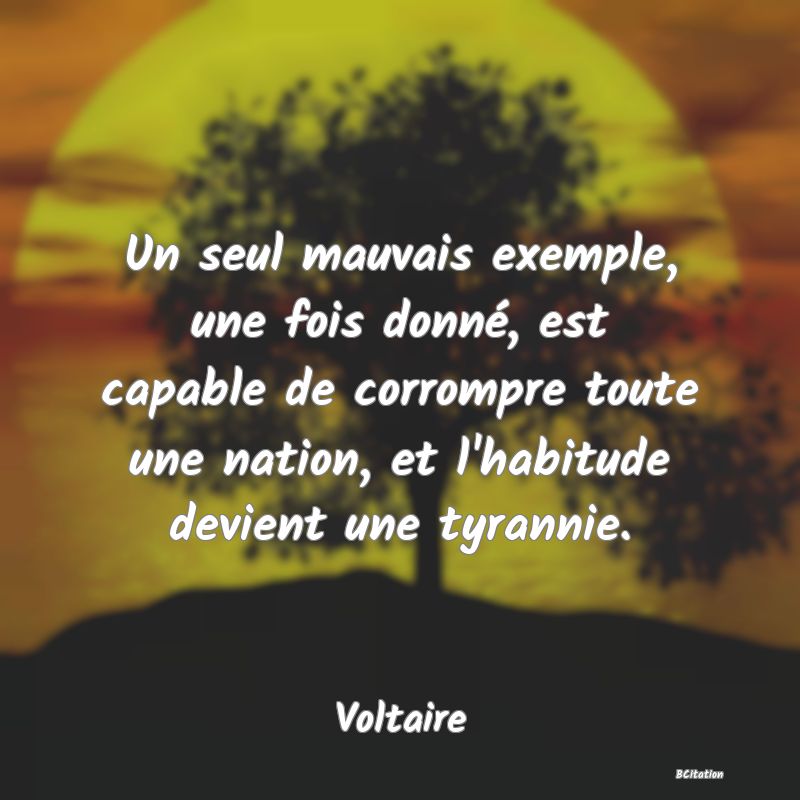 image de citation: Un seul mauvais exemple, une fois donné, est capable de corrompre toute une nation, et l'habitude devient une tyrannie.