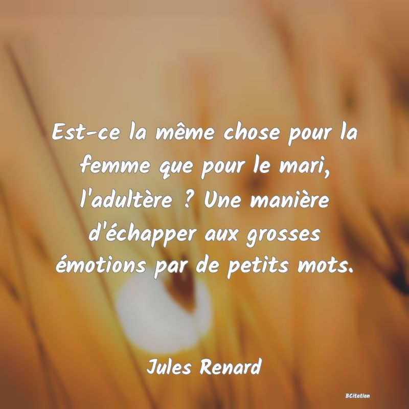 image de citation: Est-ce la même chose pour la femme que pour le mari, l'adultère ? Une manière d'échapper aux grosses émotions par de petits mots.