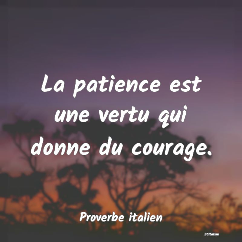 image de citation: La patience est une vertu qui donne du courage.