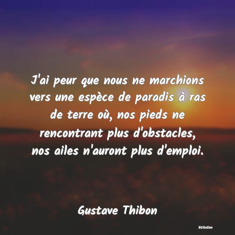 image de citation: J'ai peur que nous ne marchions vers une espèce de paradis à ras de terre où, nos pieds ne rencontrant plus d'obstacles, nos ailes n'auront plus d'emploi.