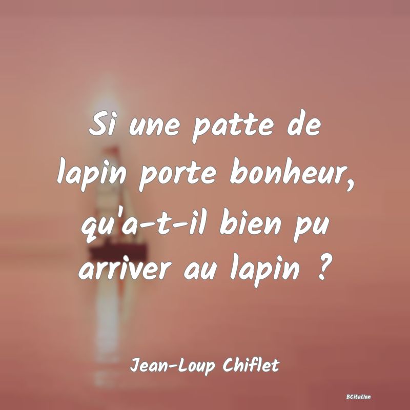 image de citation: Si une patte de lapin porte bonheur, qu'a-t-il bien pu arriver au lapin ?