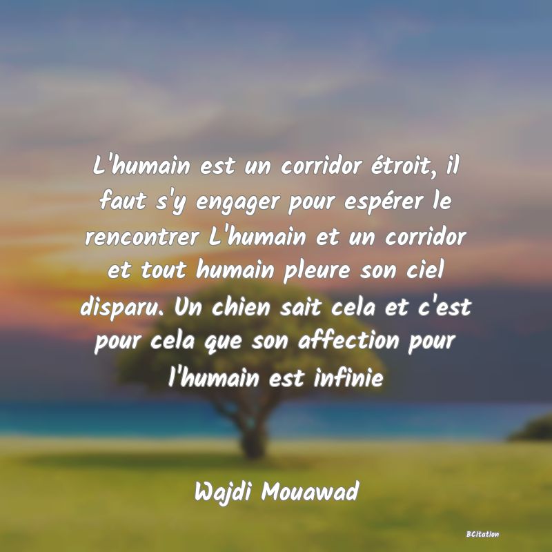 image de citation: L'humain est un corridor étroit, il faut s'y engager pour espérer le rencontrer L'humain et un corridor et tout humain pleure son ciel disparu. Un chien sait cela et c'est pour cela que son affection pour l'humain est infinie