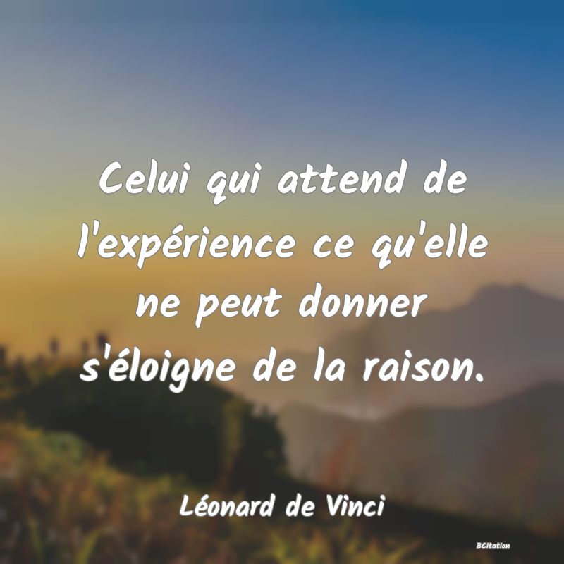 image de citation: Celui qui attend de l'expérience ce qu'elle ne peut donner s'éloigne de la raison.