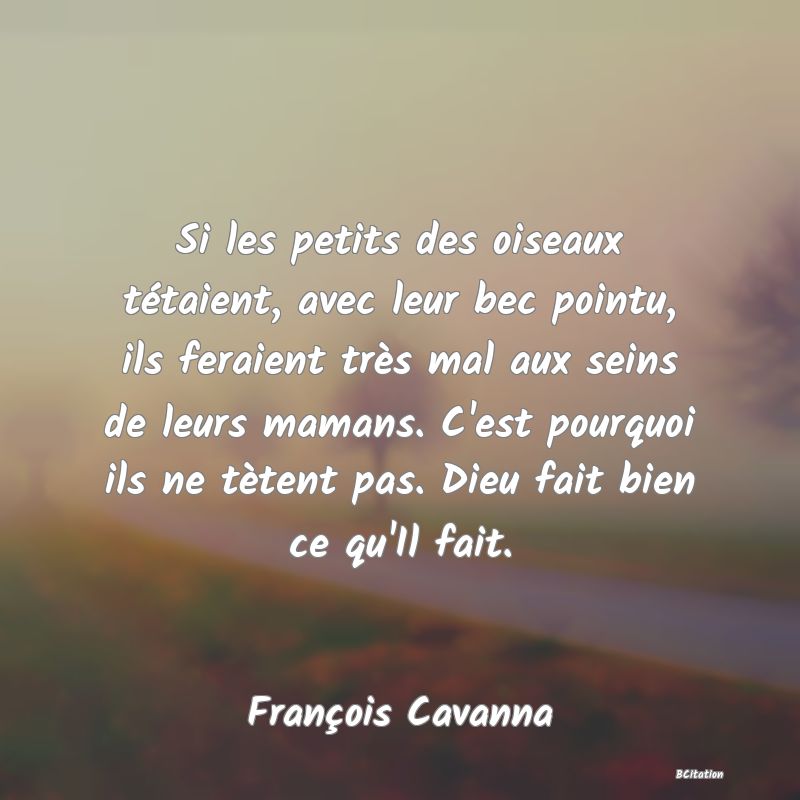 image de citation: Si les petits des oiseaux tétaient, avec leur bec pointu, ils feraient très mal aux seins de leurs mamans. C'est pourquoi ils ne tètent pas. Dieu fait bien ce qu'Il fait.