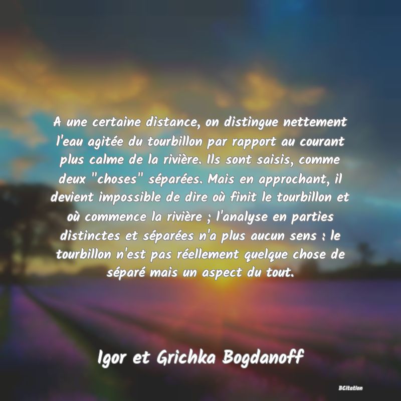 image de citation: A une certaine distance, on distingue nettement l'eau agitée du tourbillon par rapport au courant plus calme de la rivière. Ils sont saisis, comme deux  choses  séparées. Mais en approchant, il devient impossible de dire où finit le tourbillon et où commence la rivière ; l'analyse en parties distinctes et séparées n'a plus aucun sens : le tourbillon n'est pas réellement quelque chose de séparé mais un aspect du tout.