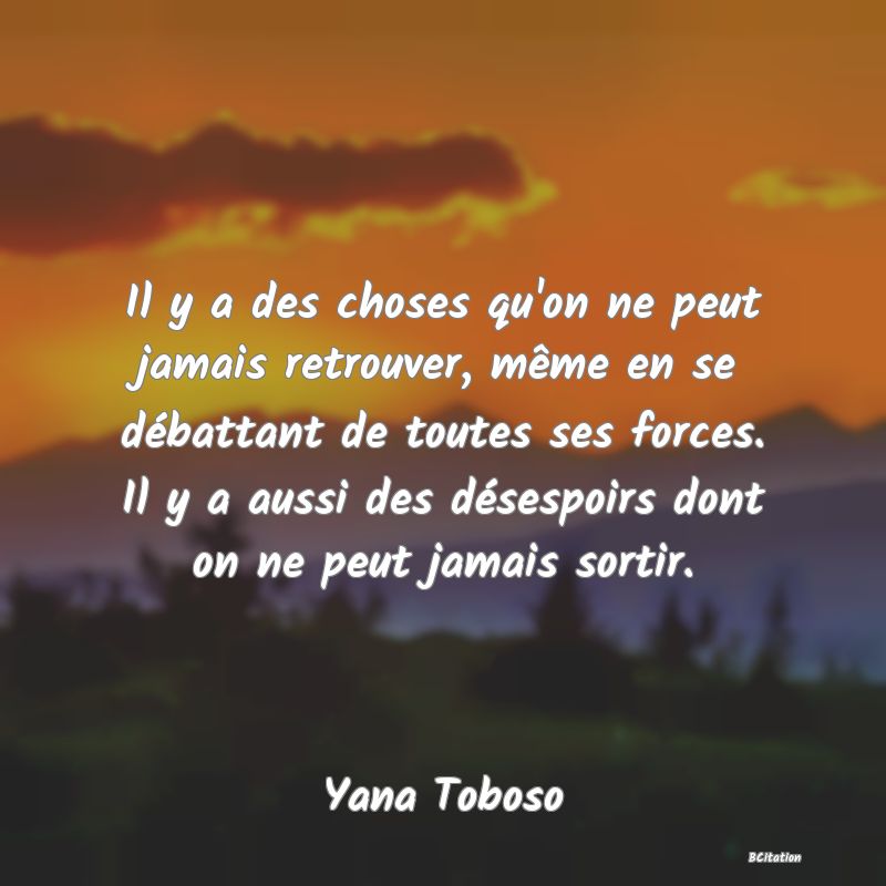 image de citation: Il y a des choses qu'on ne peut jamais retrouver, même en se débattant de toutes ses forces. Il y a aussi des désespoirs dont on ne peut jamais sortir.