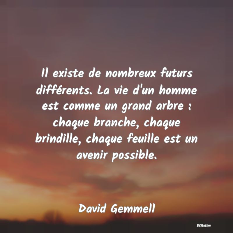 Belle Citation - Il existe de nombreux futurs différents. La vie d'un homme est comme un grand arbre : chaque branche, chaque brindille, chaque feuille est un avenir possible. - David Gemmell