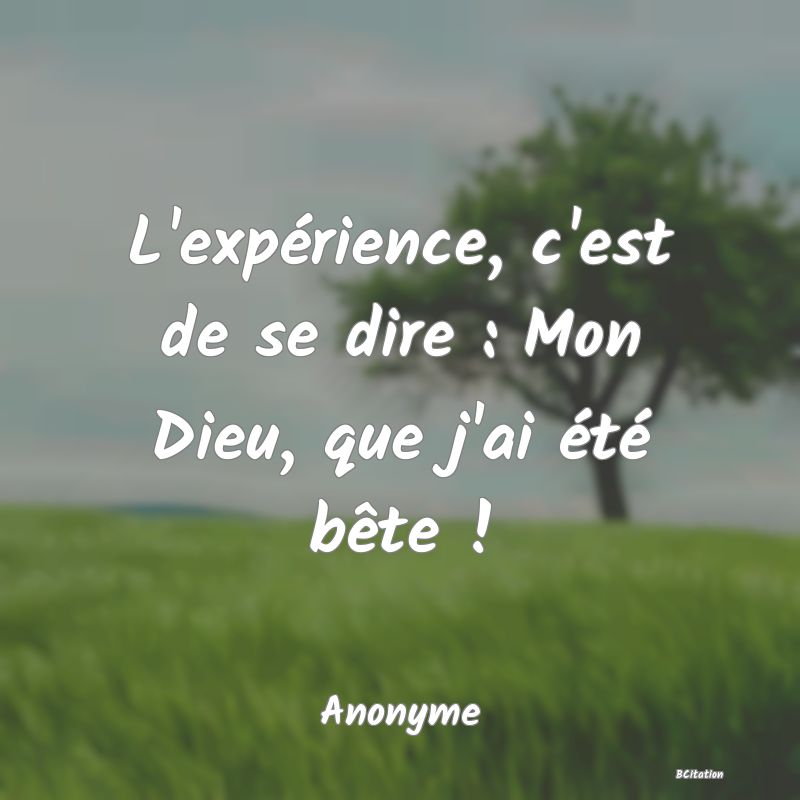 image de citation: L'expérience, c'est de se dire : Mon Dieu, que j'ai été bête !