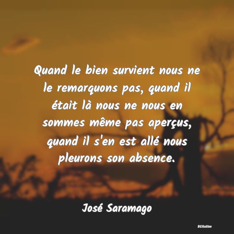 image de citation: Quand le bien survient nous ne le remarquons pas, quand il était là nous ne nous en sommes même pas aperçus, quand il s'en est allé nous pleurons son absence.