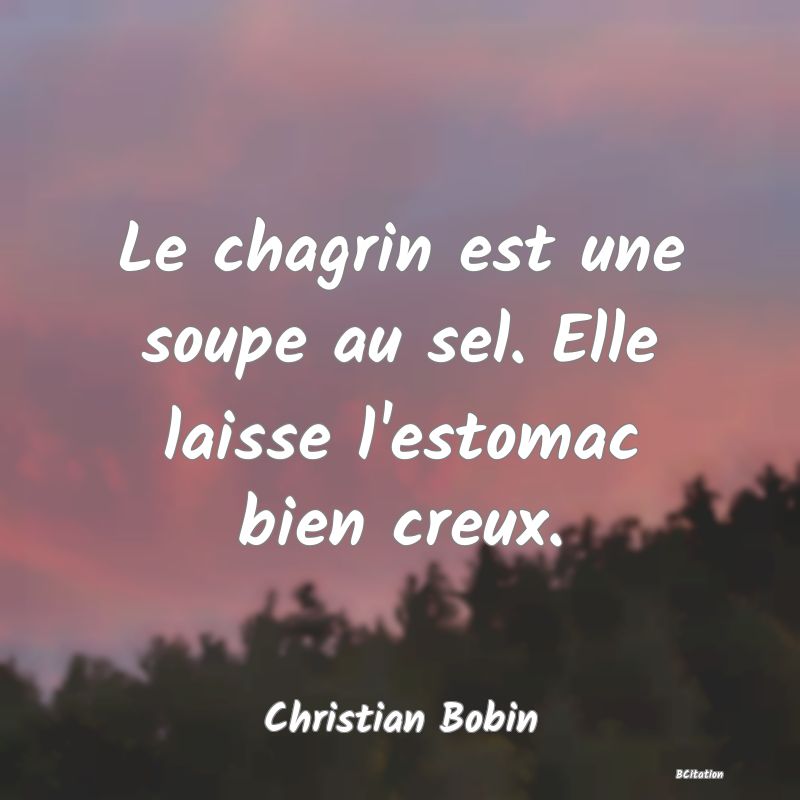 image de citation: Le chagrin est une soupe au sel. Elle laisse l'estomac bien creux.