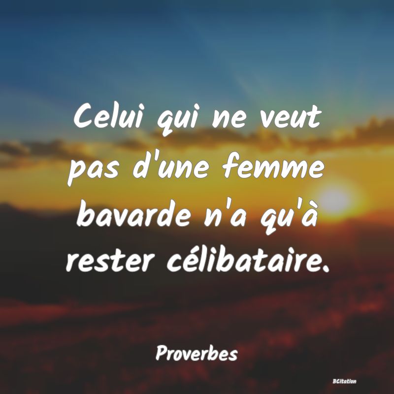 Belle Citation - Celui qui ne veut pas d'une femme bavarde n'a qu'à rester célibataire. - Proverbes
