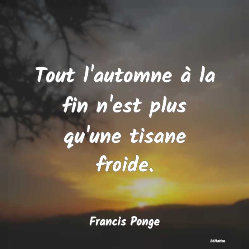 image de citation: Tout l'automne à la fin n'est plus qu'une tisane froide.