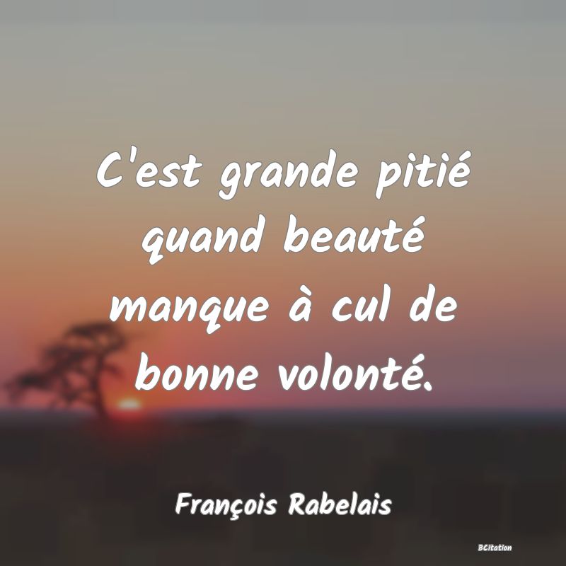 image de citation: C'est grande pitié quand beauté manque à cul de bonne volonté.