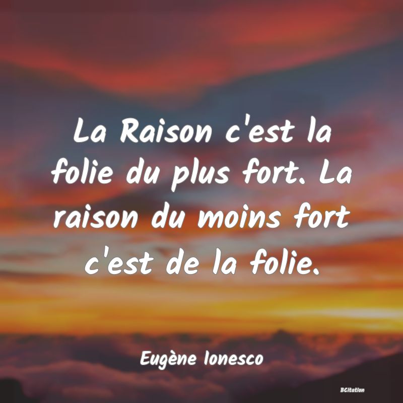 image de citation: La Raison c'est la folie du plus fort. La raison du moins fort c'est de la folie.