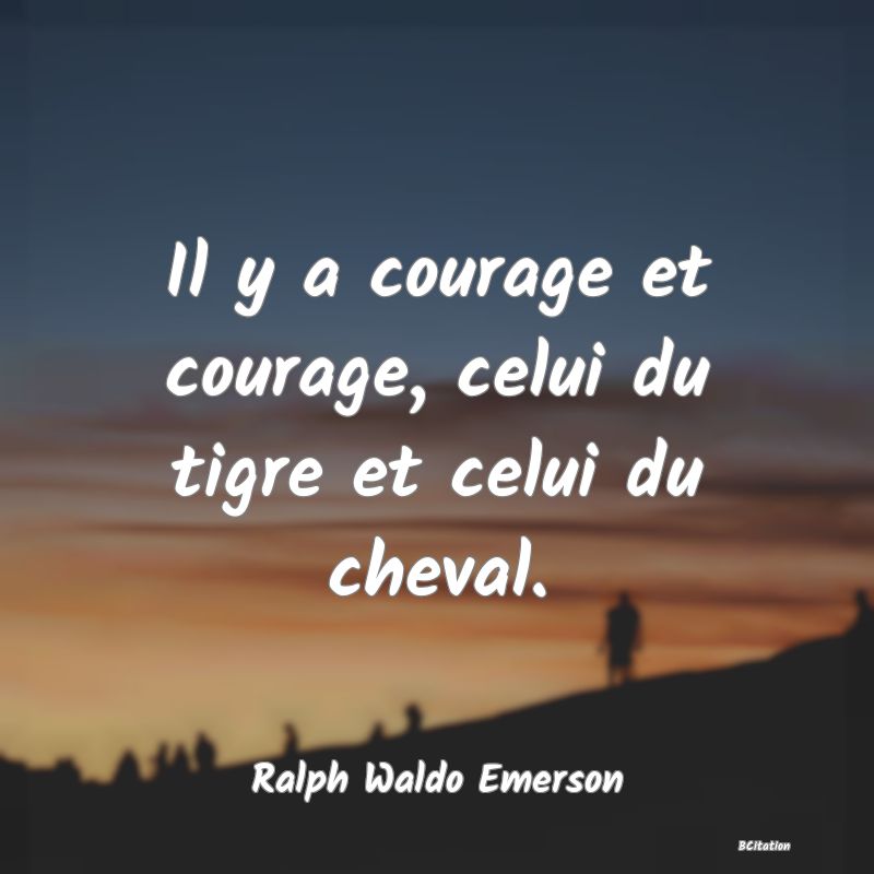 image de citation: Il y a courage et courage, celui du tigre et celui du cheval.