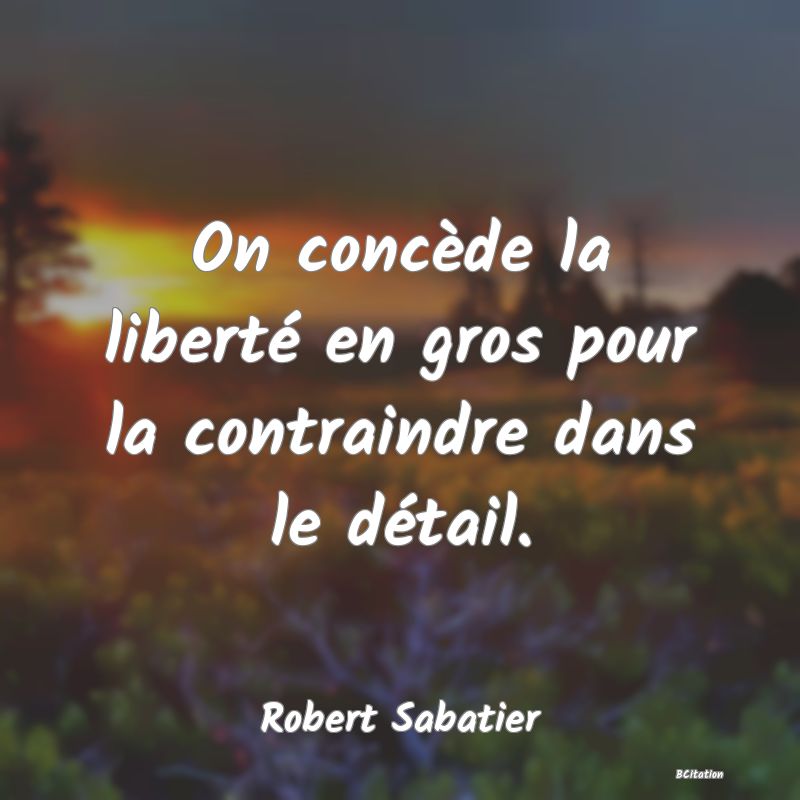 image de citation: On concède la liberté en gros pour la contraindre dans le détail.