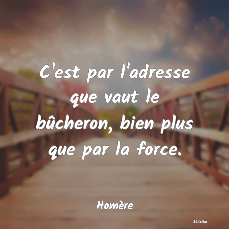 image de citation: C'est par l'adresse que vaut le bûcheron, bien plus que par la force.