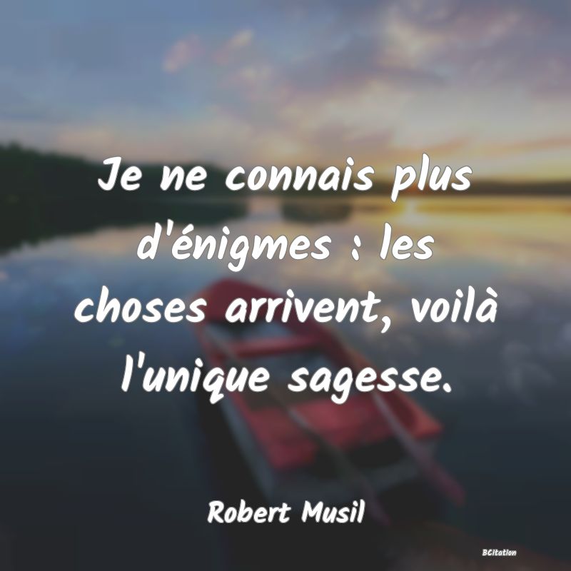 image de citation: Je ne connais plus d'énigmes : les choses arrivent, voilà l'unique sagesse.