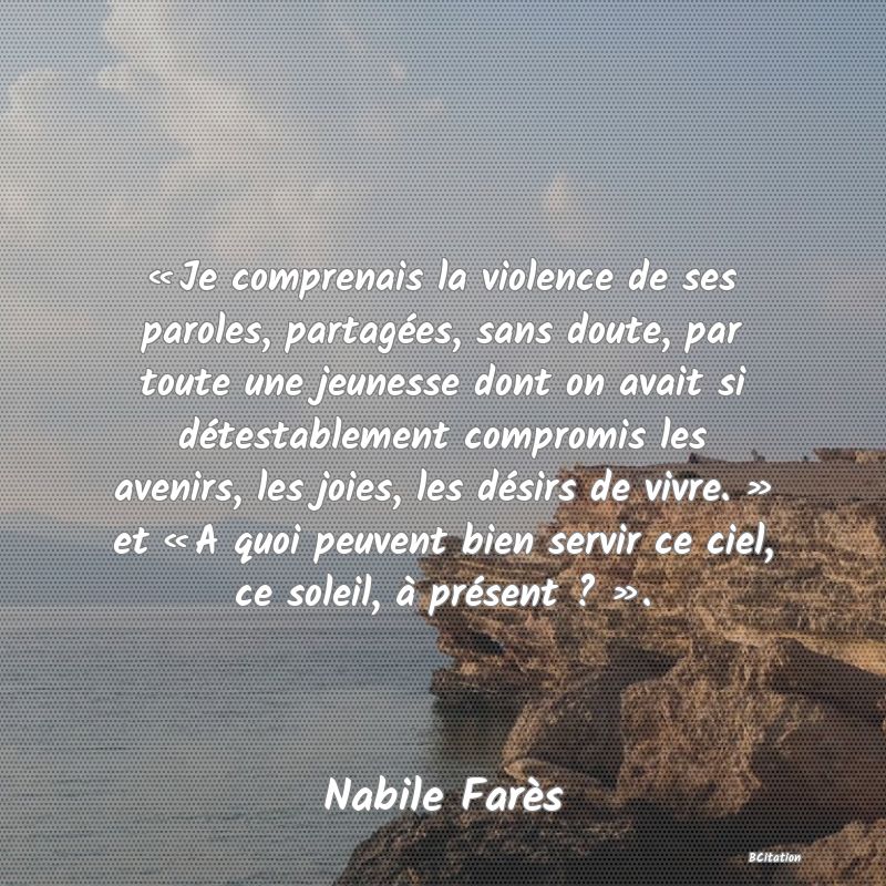 image de citation: « Je comprenais la violence de ses paroles, partagées, sans doute, par toute une jeunesse dont on avait si détestablement compromis les avenirs, les joies, les désirs de vivre. » et « A quoi peuvent bien servir ce ciel, ce soleil, à présent ? ».