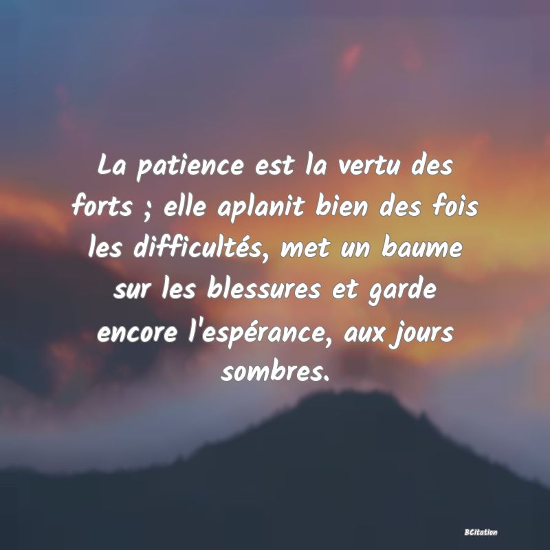 image de citation: La patience est la vertu des forts ; elle aplanit bien des fois les difficultés, met un baume sur les blessures et garde encore l'espérance, aux jours sombres.