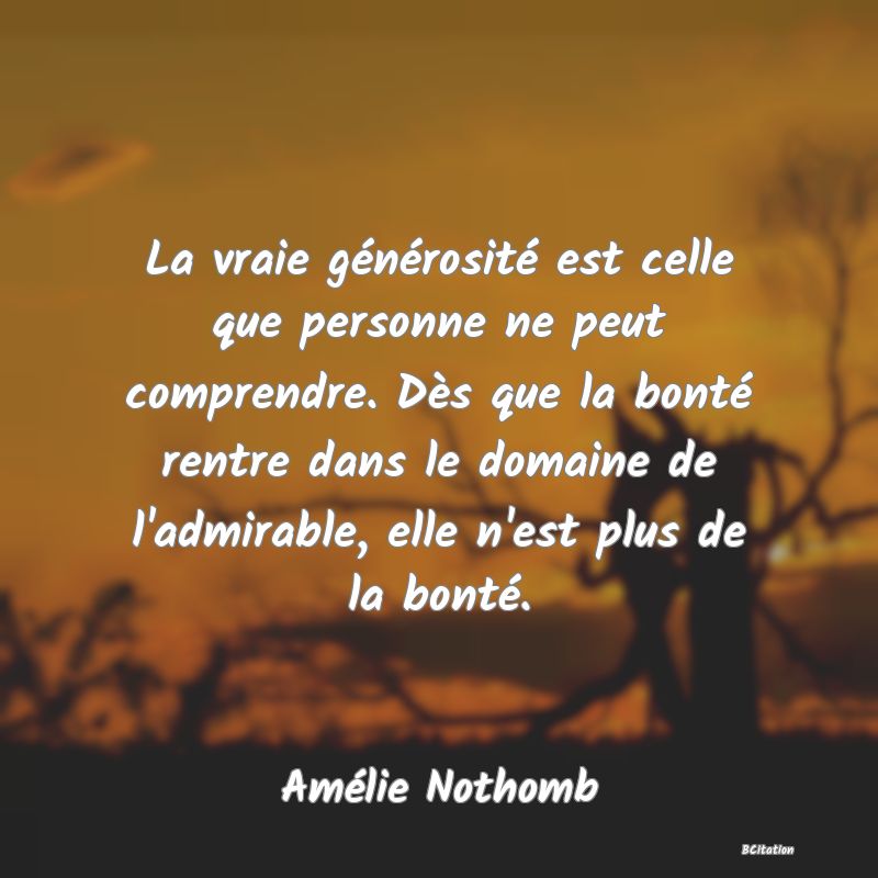 Belle Citation - La vraie générosité est celle que personne ne peut comprendre. Dès que la bonté rentre dans le domaine de l'admirable, elle n'est plus de la bonté. - Amélie Nothomb