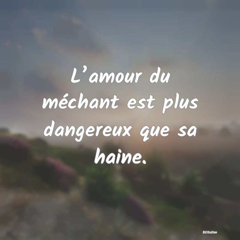 Belle Citation - L’amour du méchant est plus dangereux que sa haine. - 